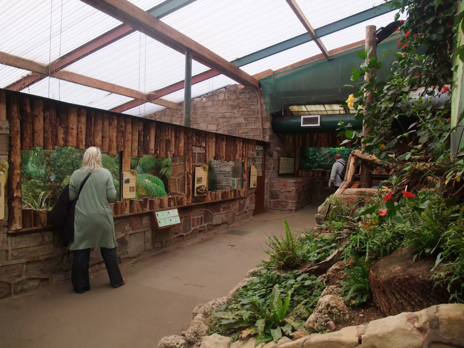 Tropical Realm Interior at Chester, 16/07/11