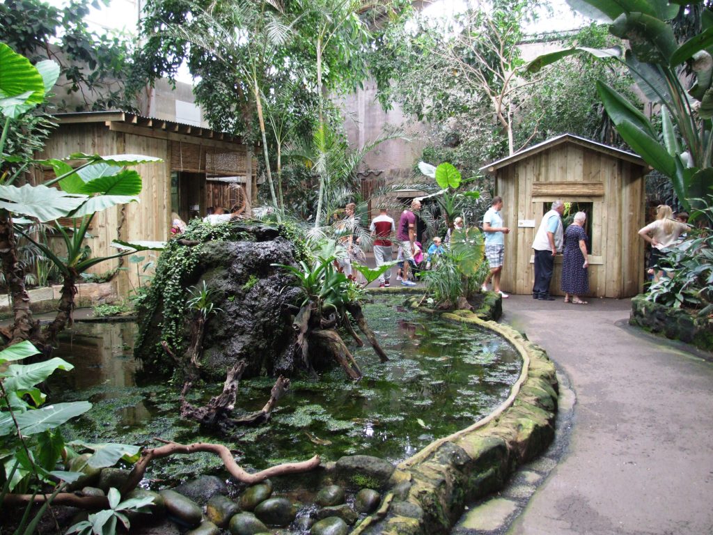 Tropical Realm Interior at Chester, 27/07/14