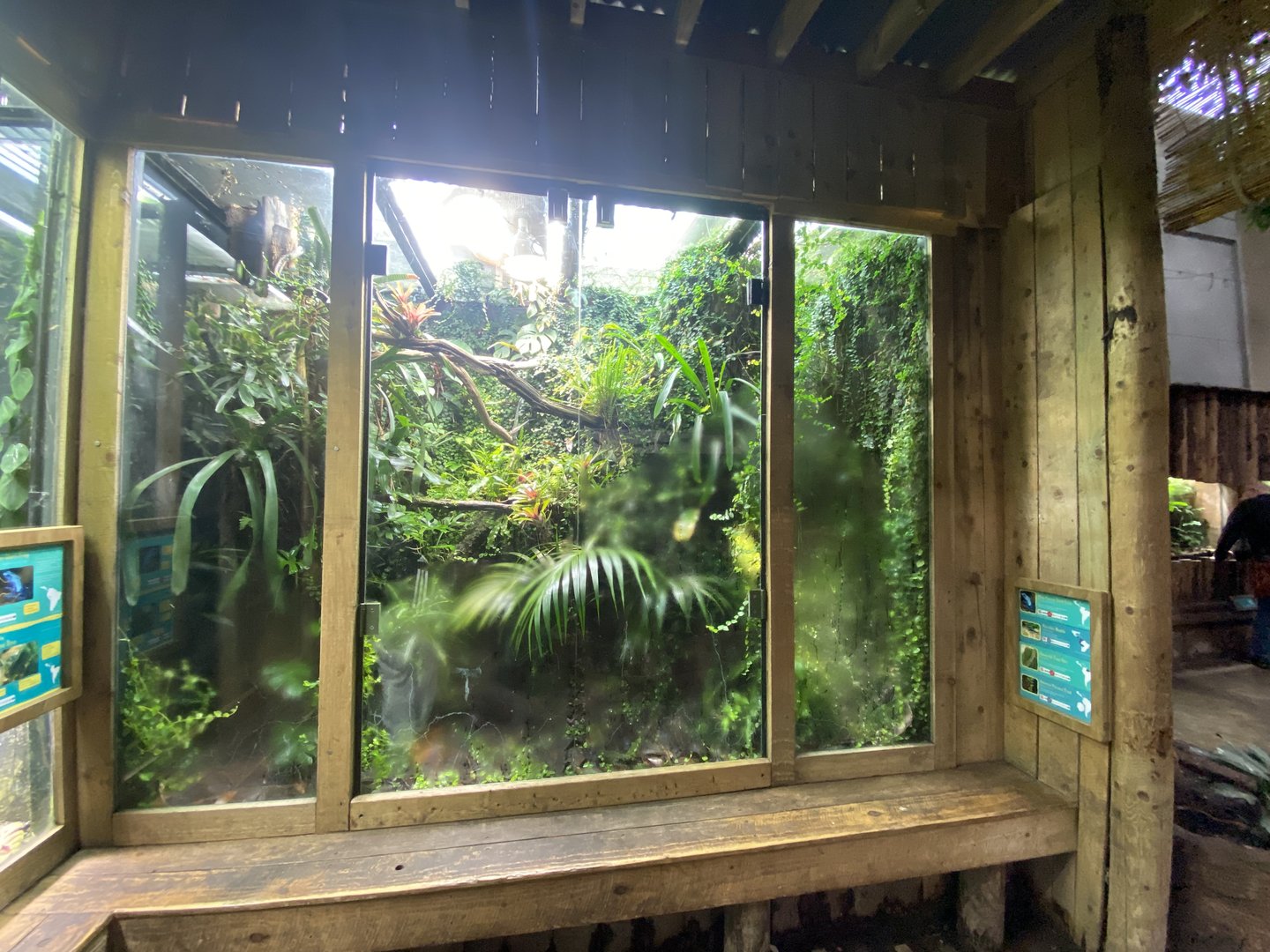 Tropical Realm - Mixed exhibit 221022