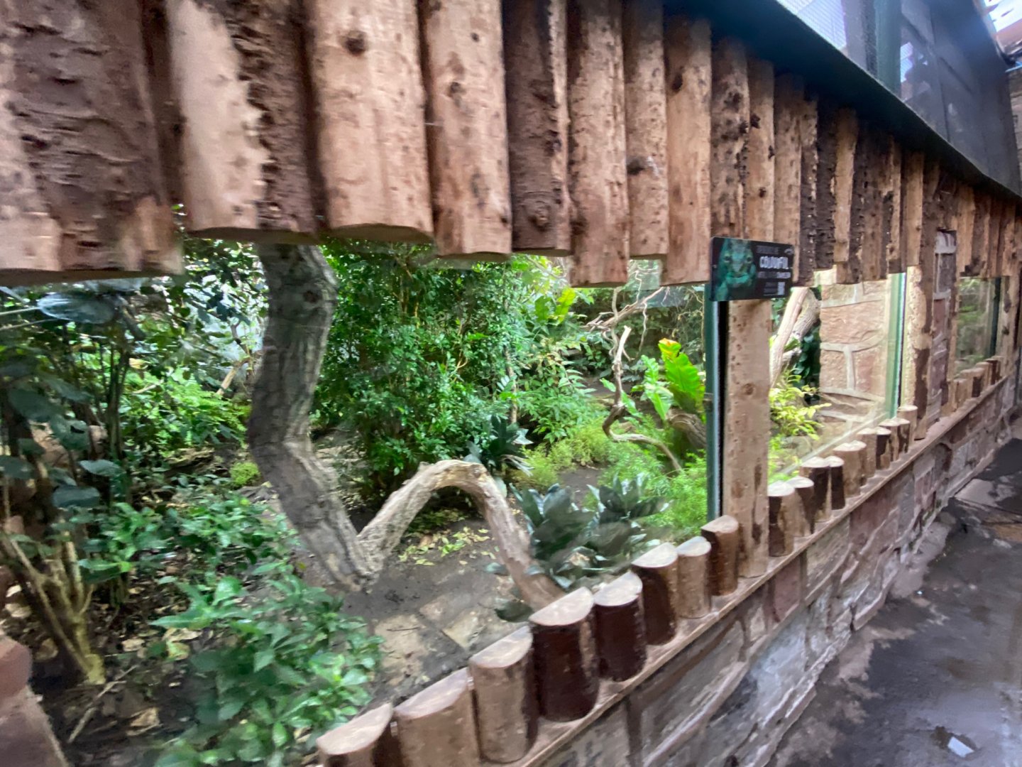 Tropical Realm - mixed exhibit 241123