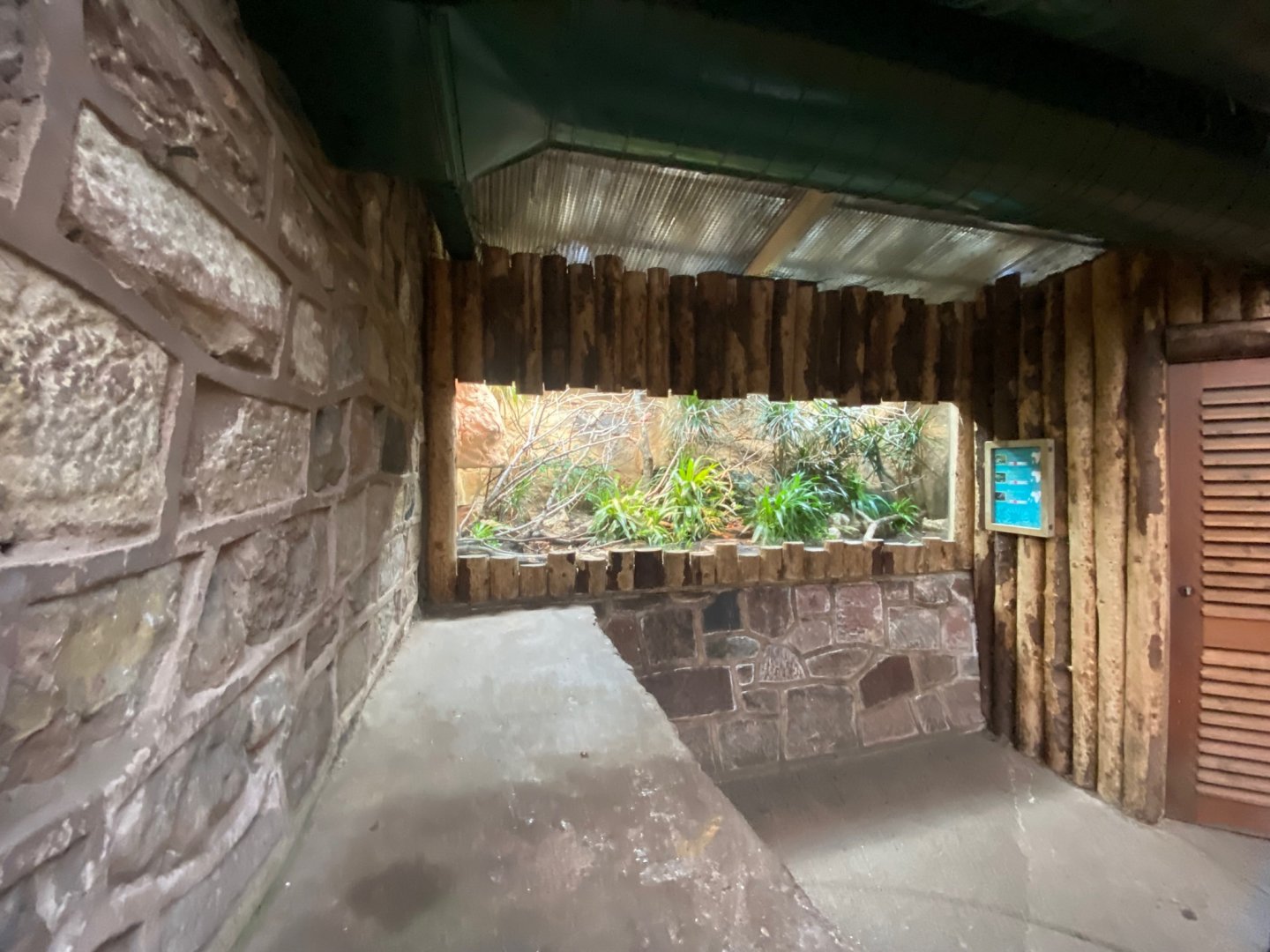 Tropical Realm - mixed exhibit 241123