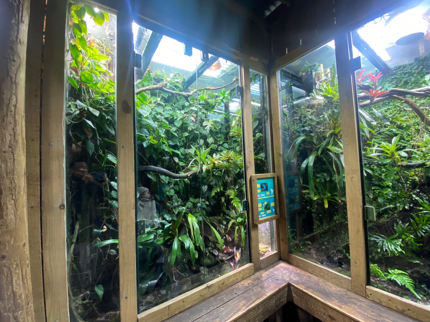 Tropical Realm - mixed exhibit 241123