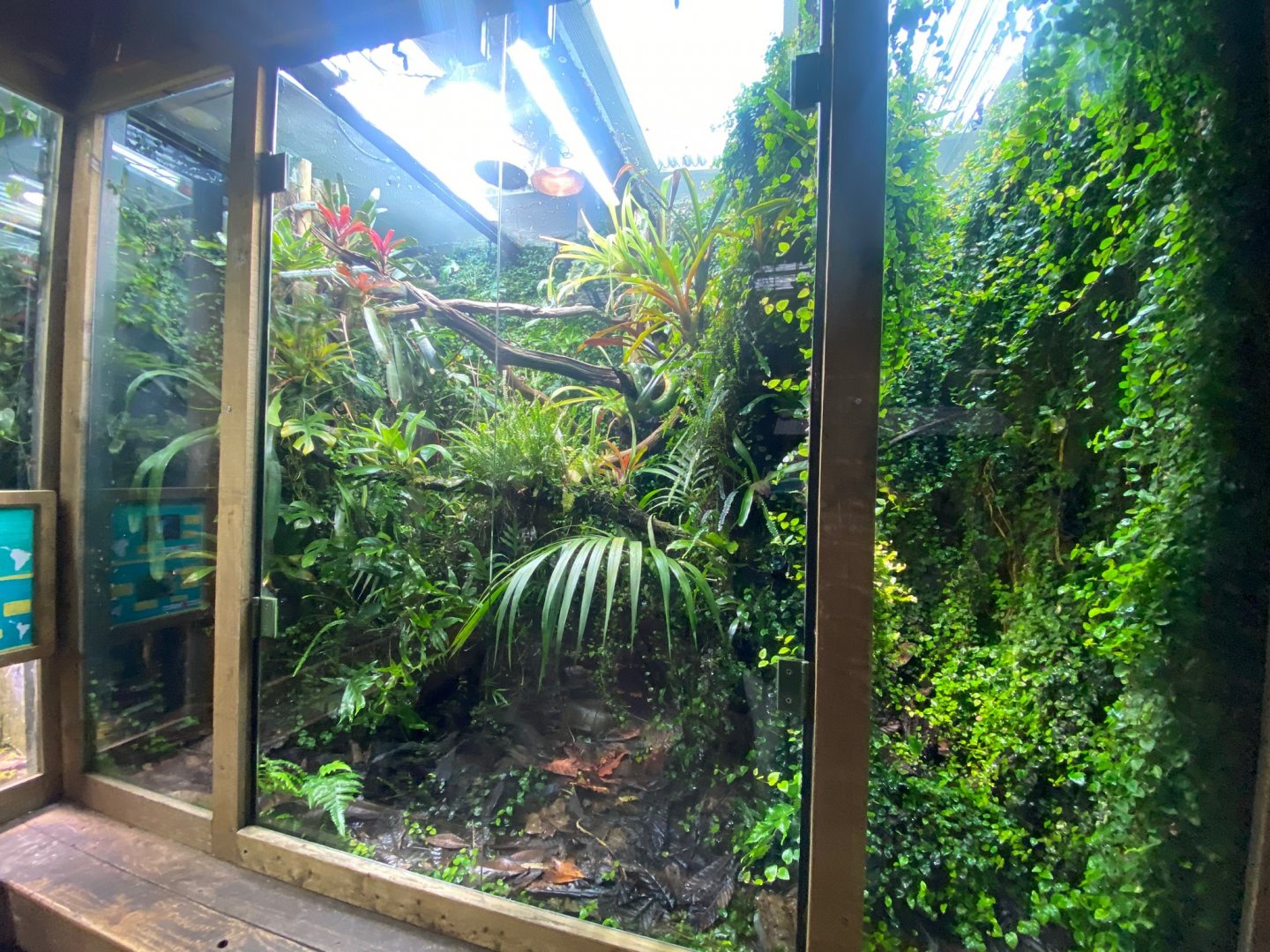 Tropical Realm - mixed exhibit 241123