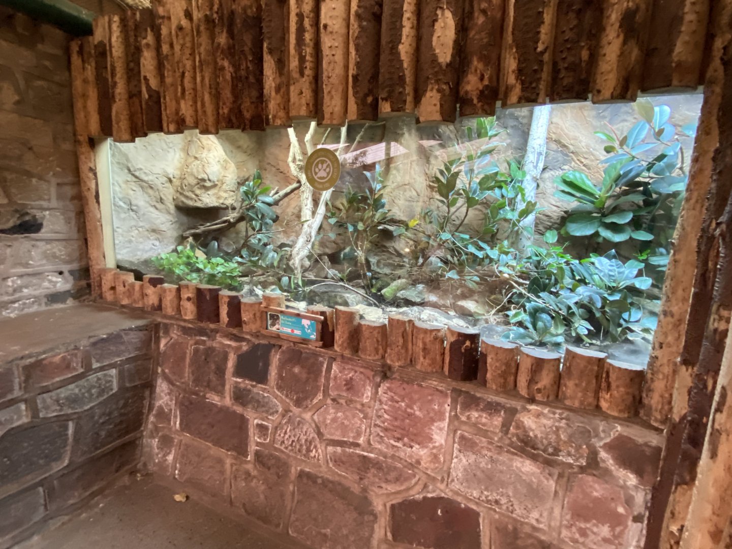 Tropical Realm - Moellendorf's rat snake exhibit 110920