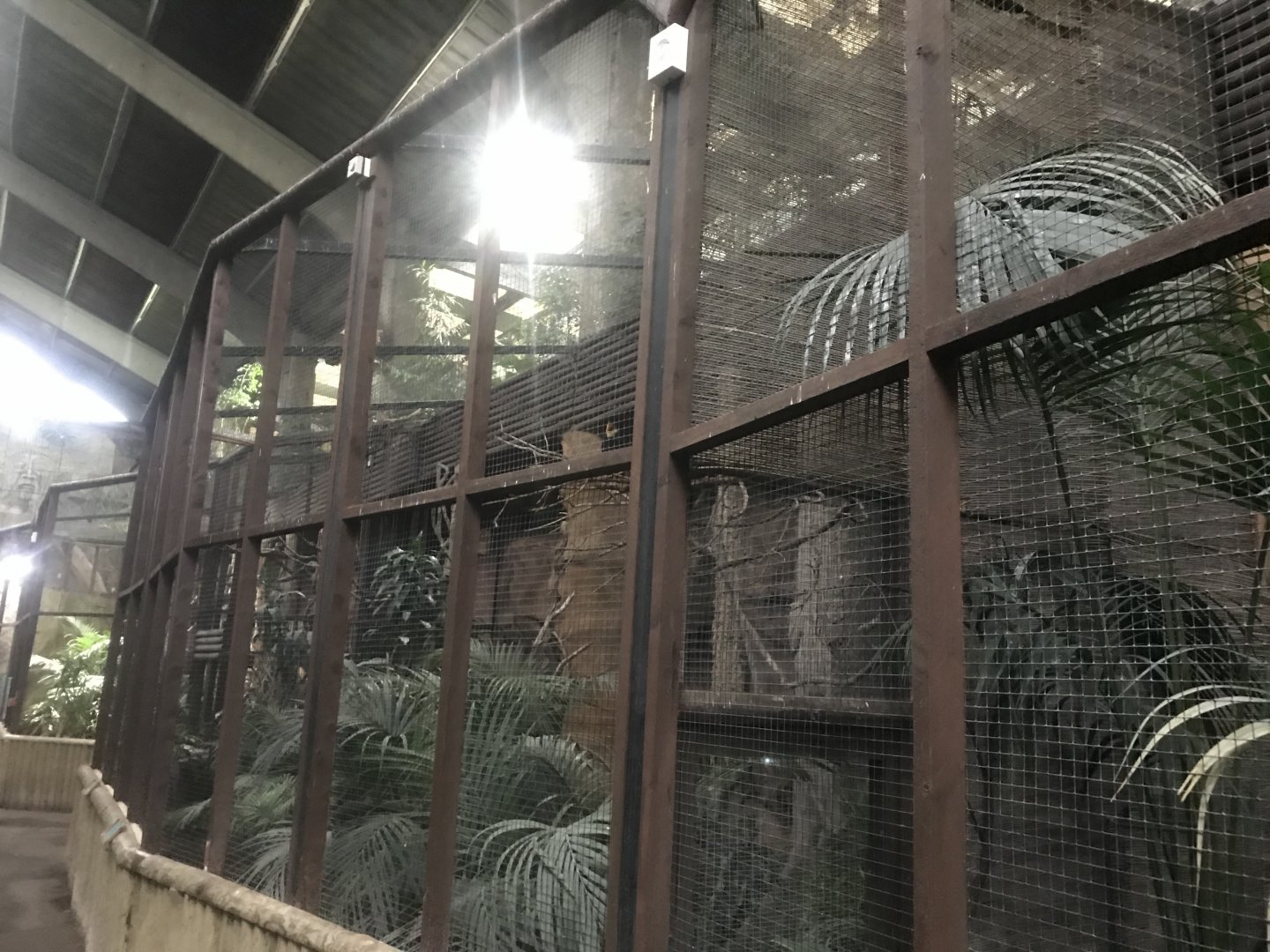 Tropical Realm - smaller hornbill aviaries 261019