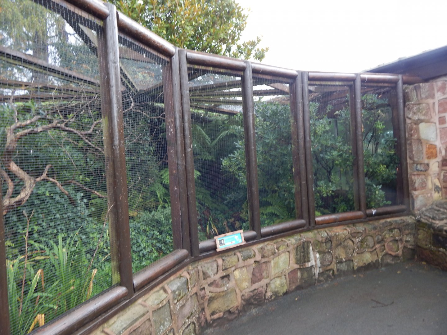 Tropical Realm - Sumatran laughingthrush exhibit (outdoors) 191021