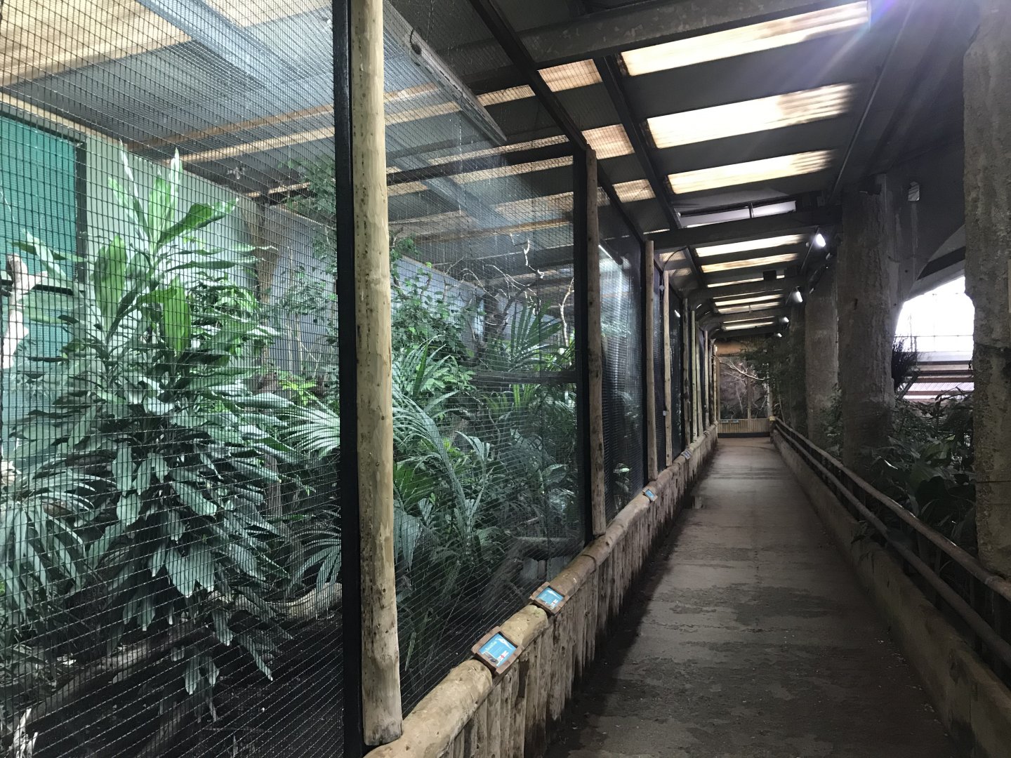 Tropical Realm - upper level aviaries 261019