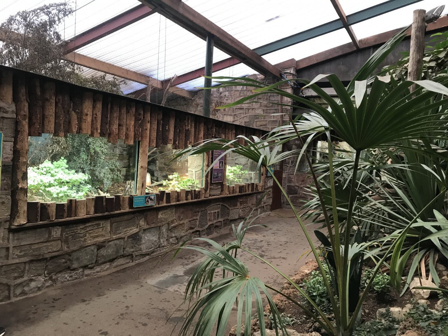 Tropical Realm - view towards Tuatara exhibit 261019