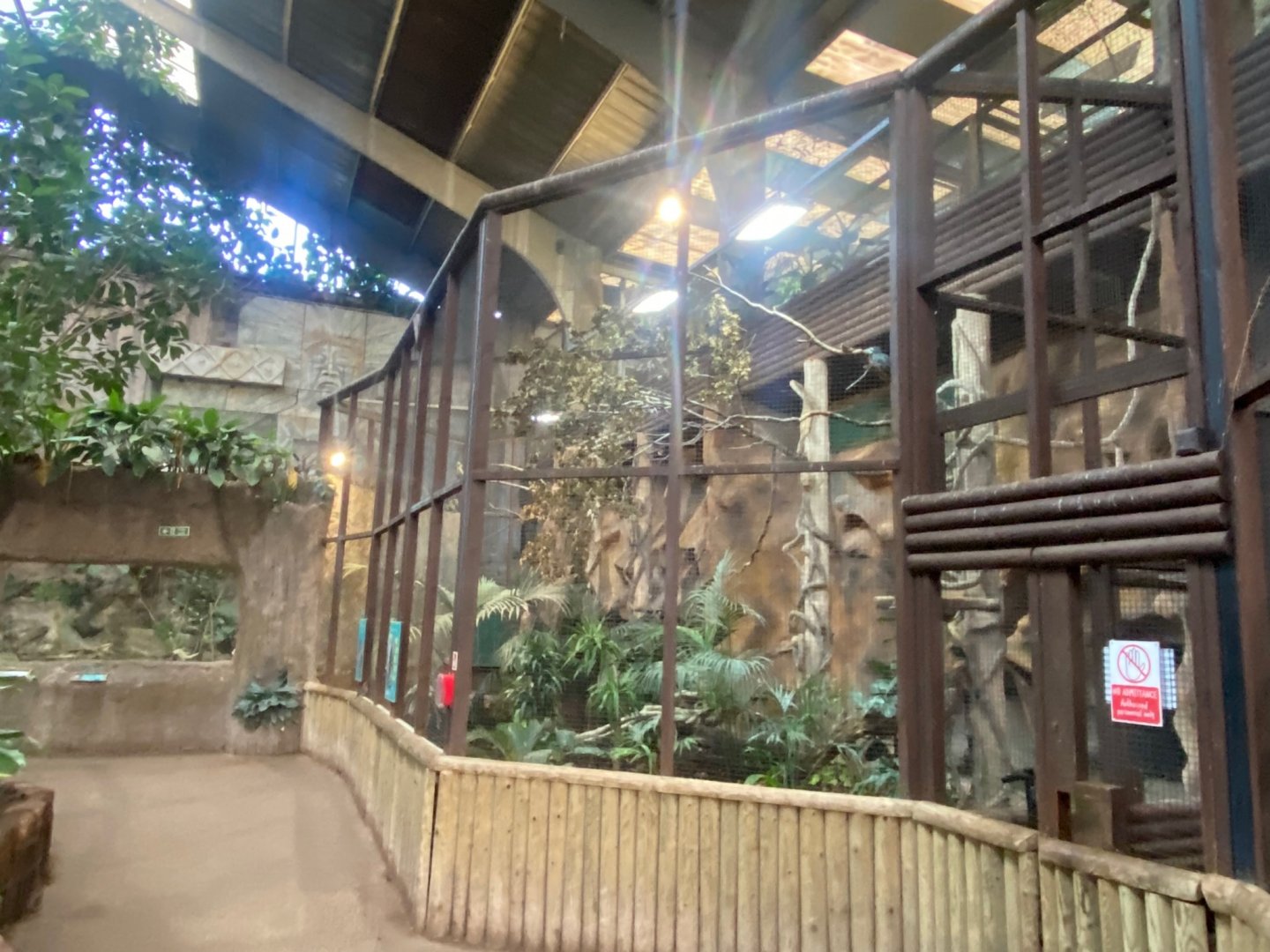 Tropical Realm - Visayan tarictic hornbill aviary 241123