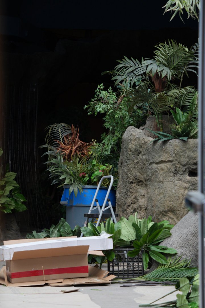 Tropical Reef Aquarium construction