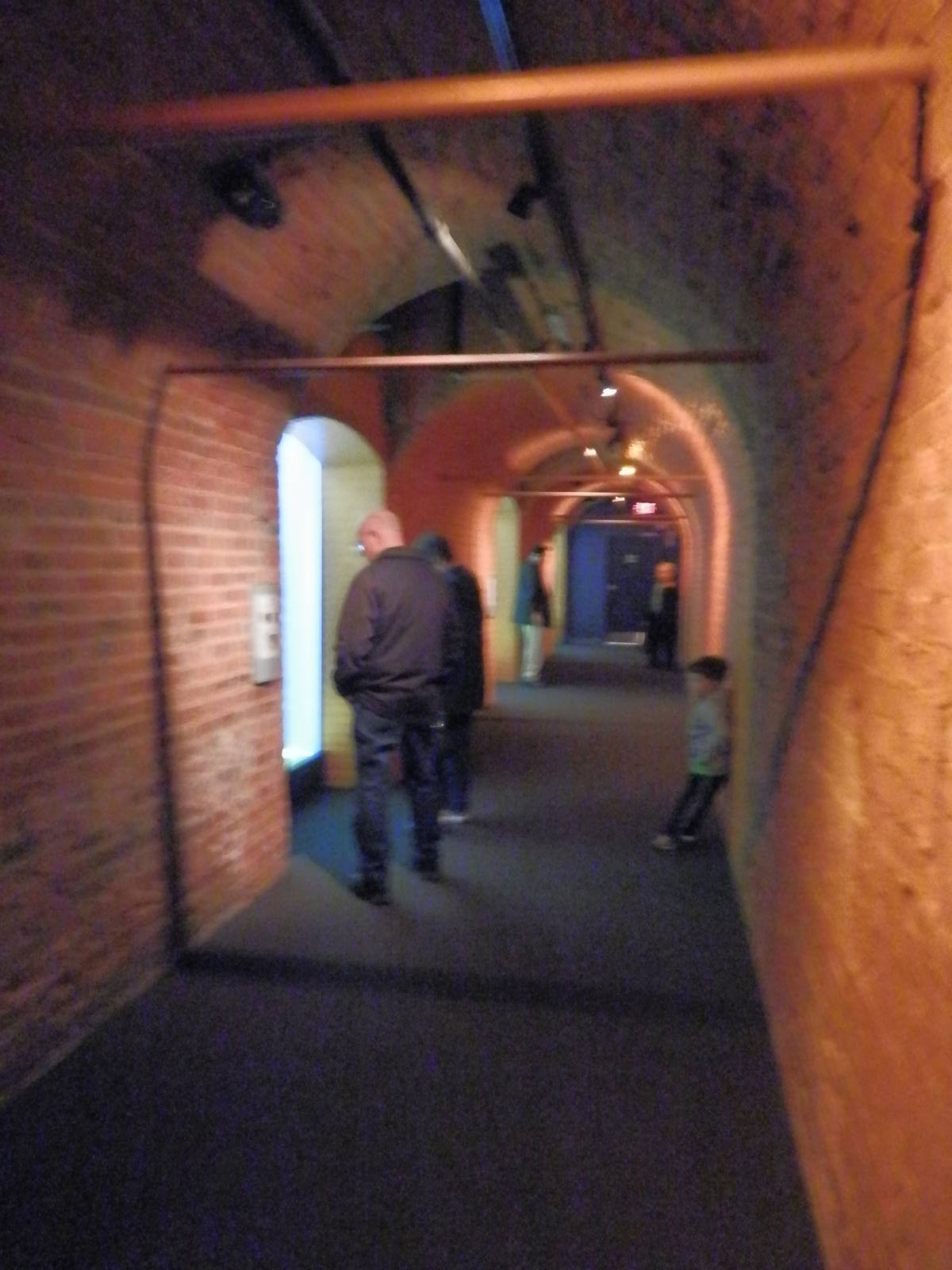 Tropical Reef tunnel