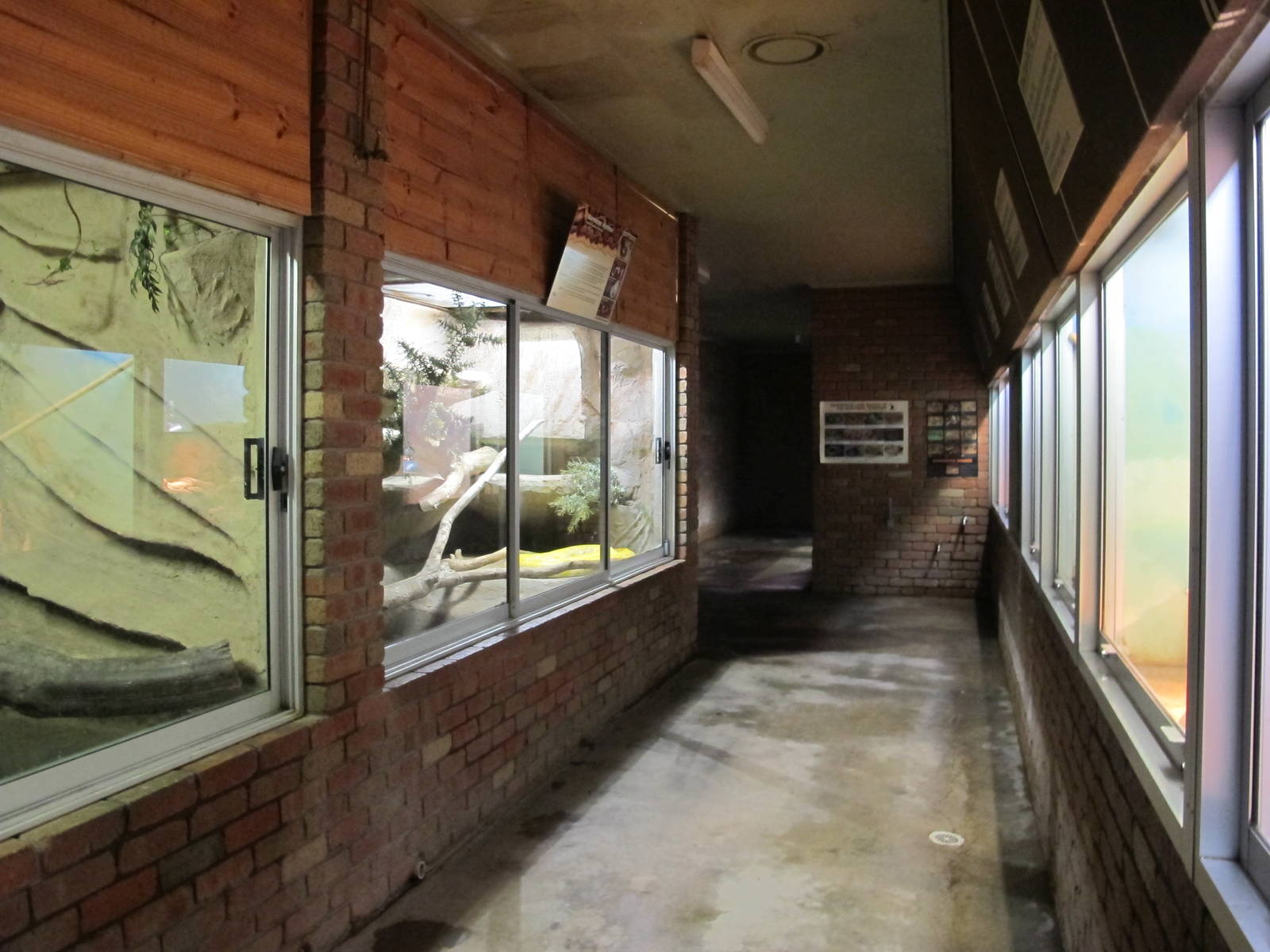 Tropical Reptile House - Ballarat Wildlife Park May 2013