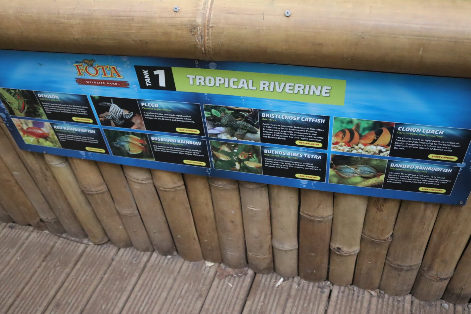Tropical Riverine Tank, Signage Example