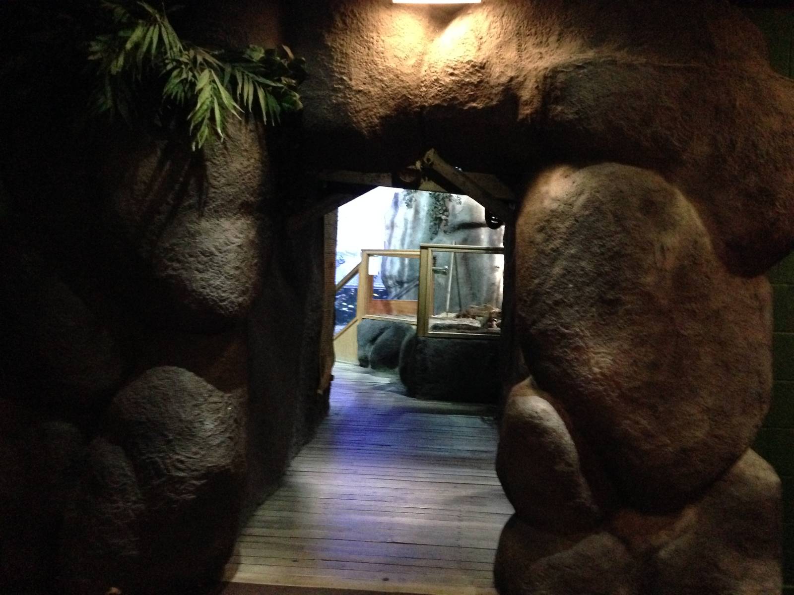 Tropical Rivers at Blue Planet Aquarium - 05/10/2013