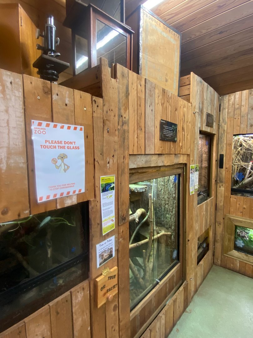 Tropical room 111222