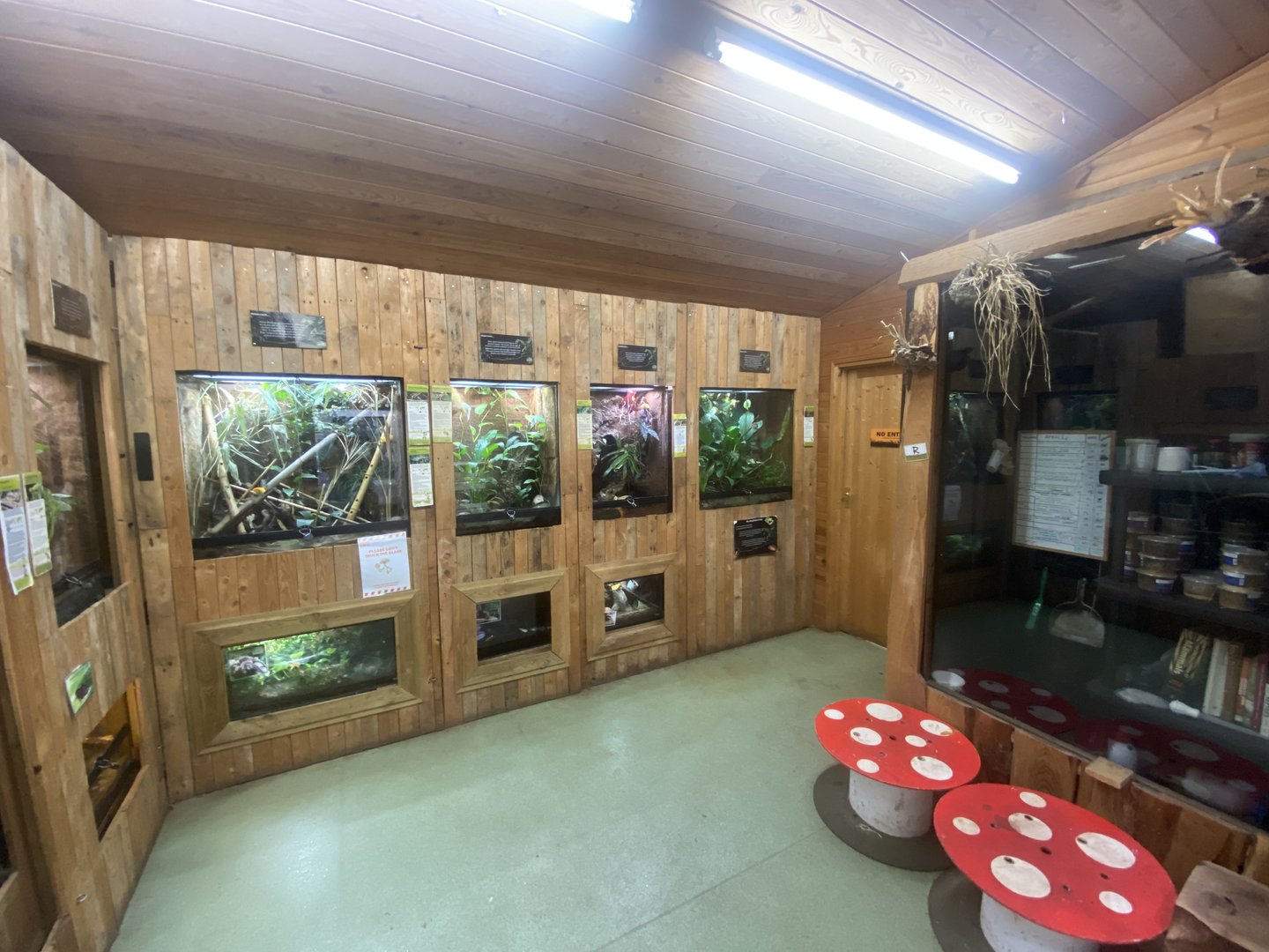 Tropical Room 250623