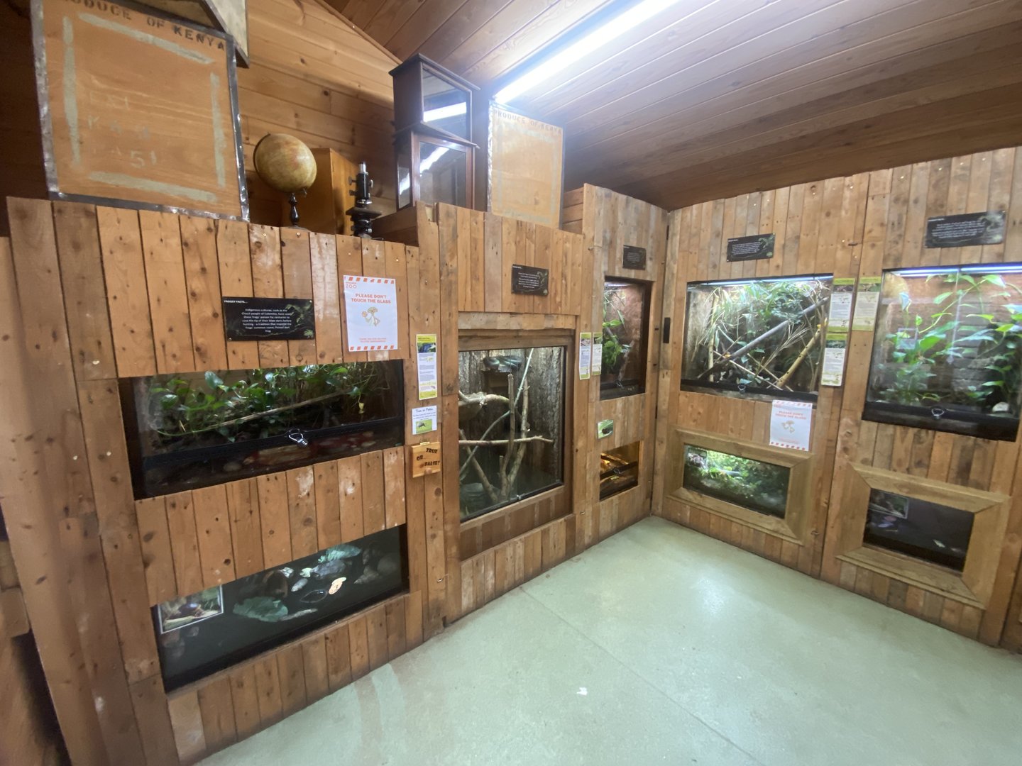 Tropical Room 250623