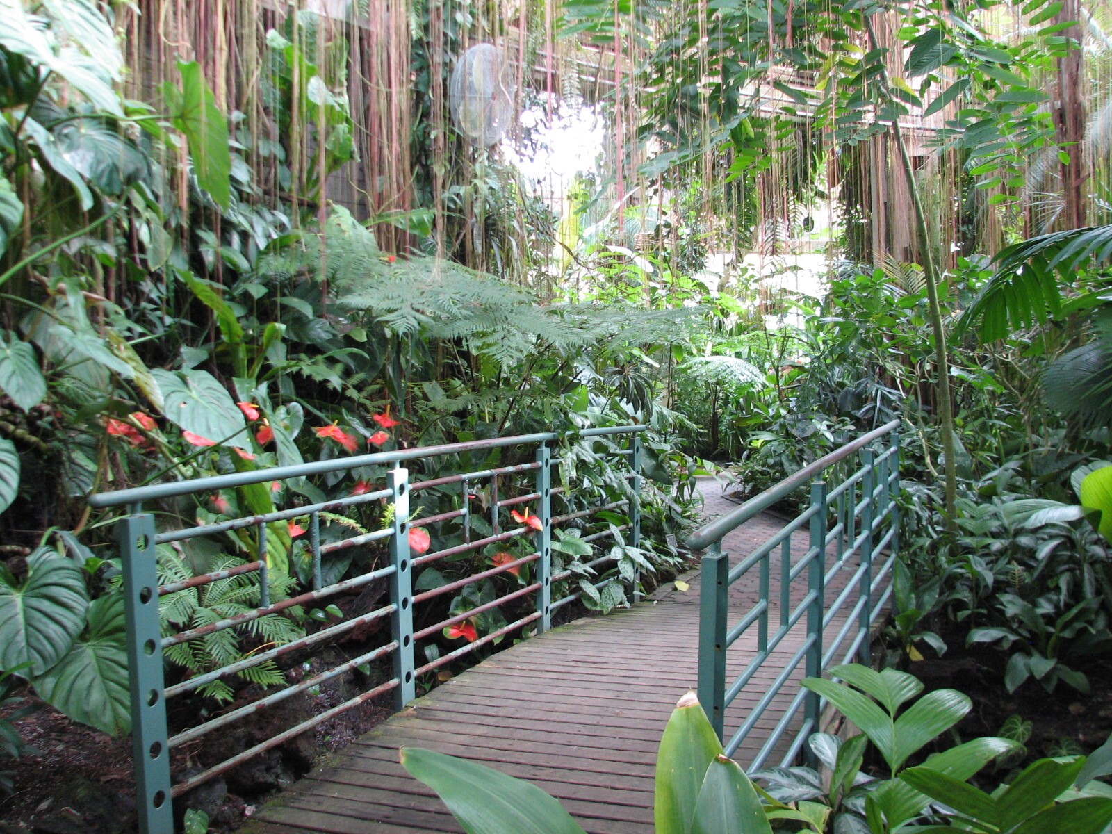 Tropical Rotunda Interior