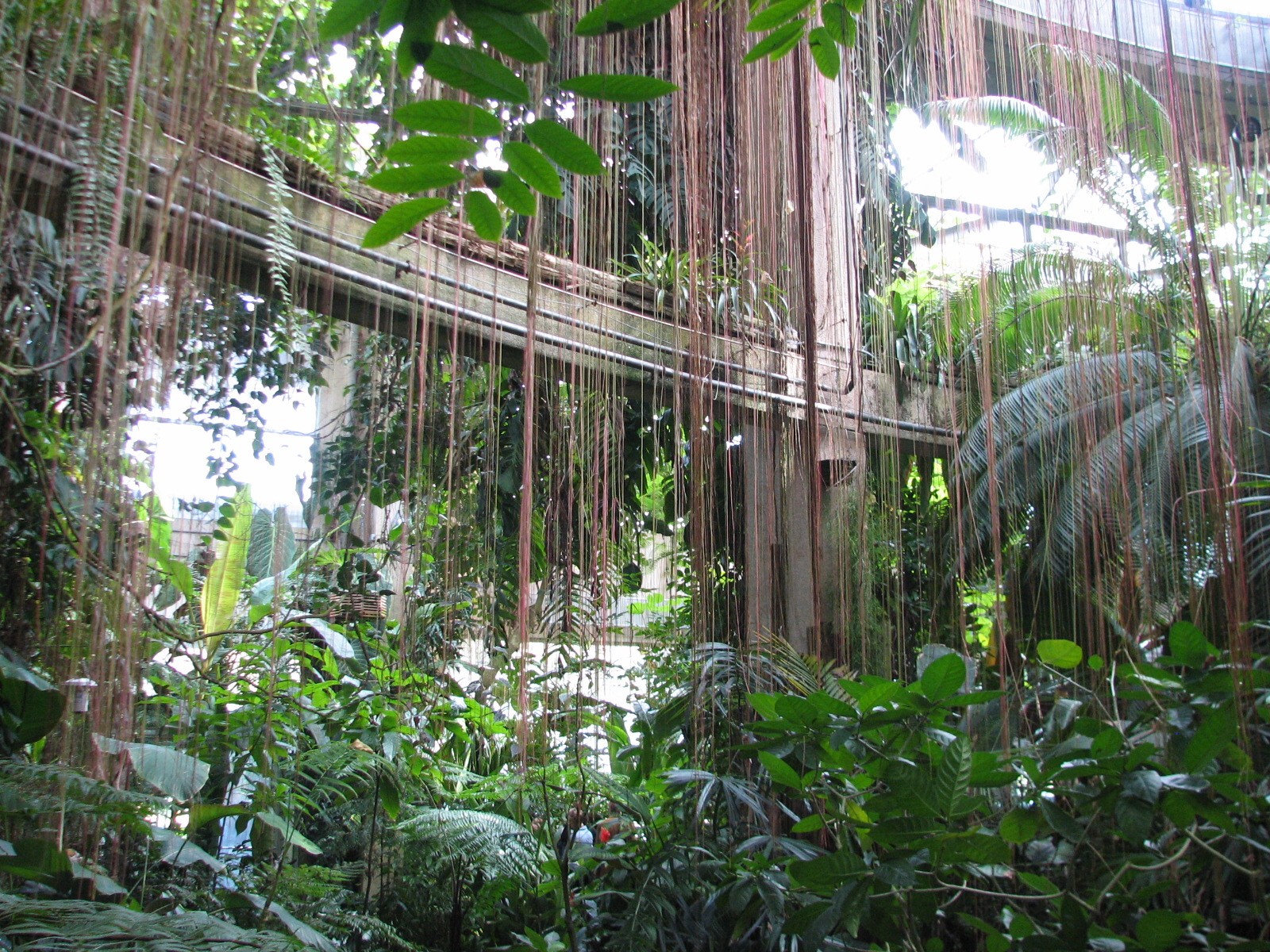 Tropical Rotunda Interior