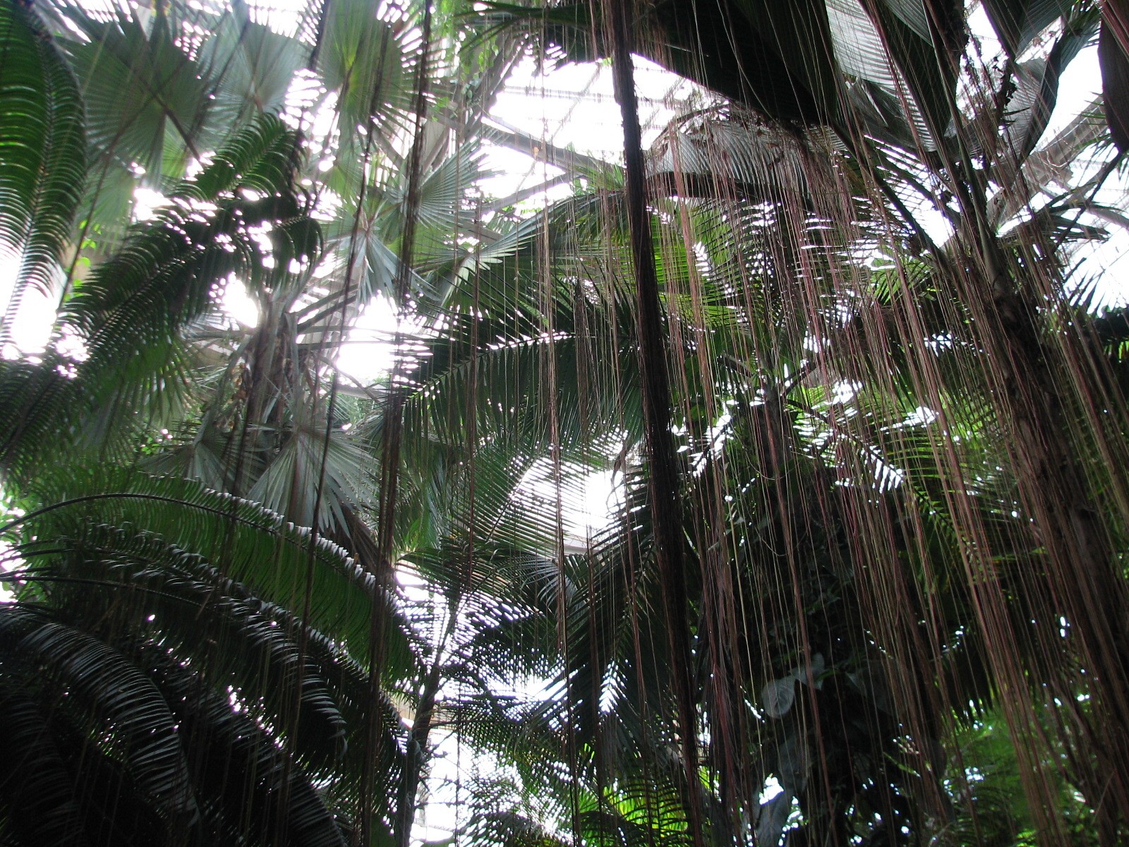 Tropical Rotunda Interior