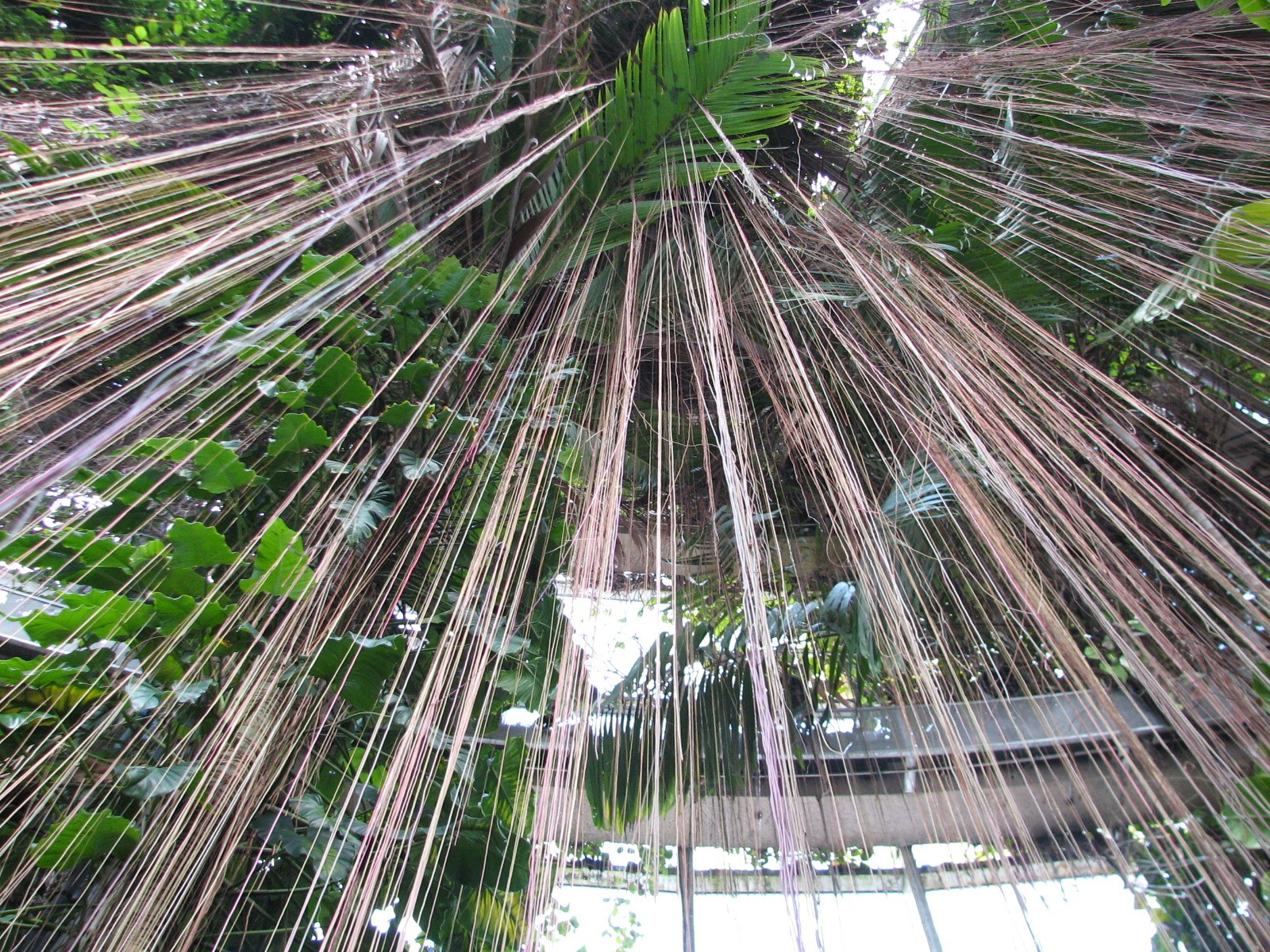 Tropical Rotunda Interior