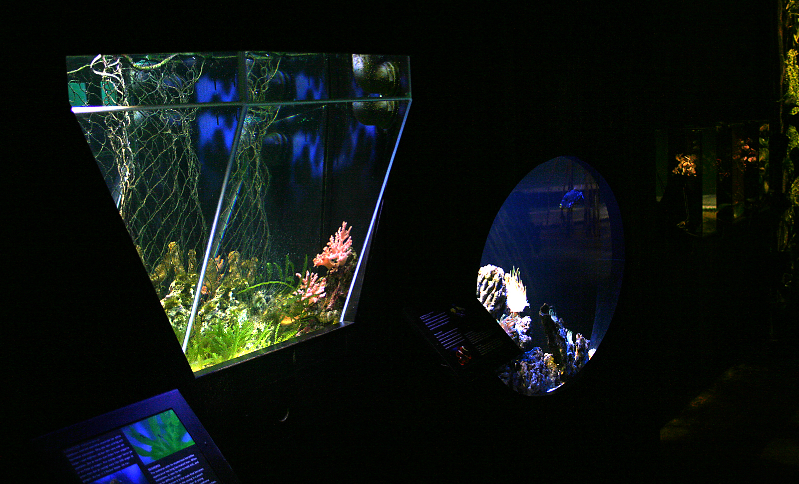 Tropical saltwater aquariums