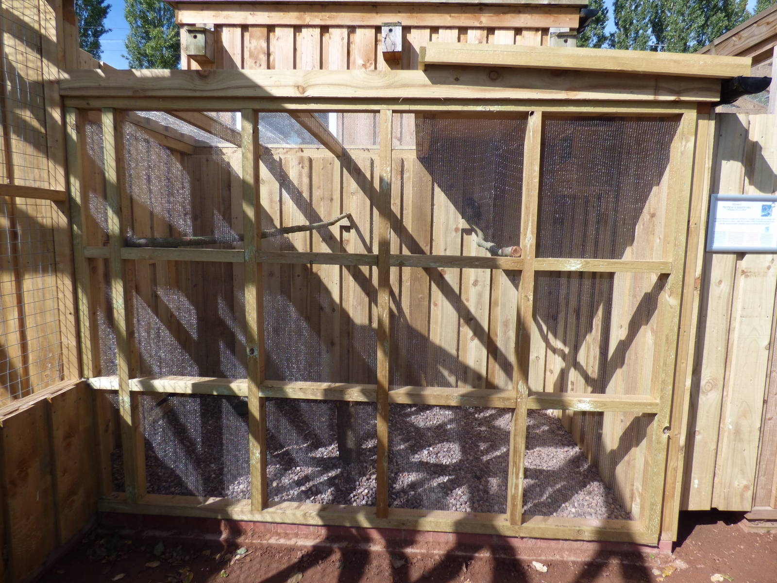 Tropical Screech Owl Aviary
