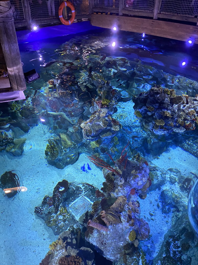 Tropical Seas from above 110223