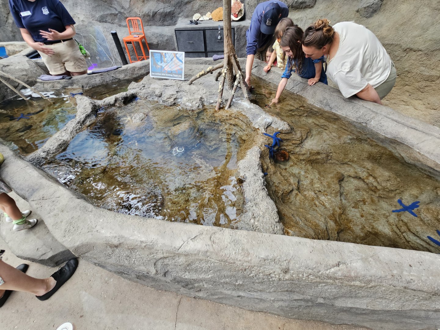 Tropical Shallows Touch Pool