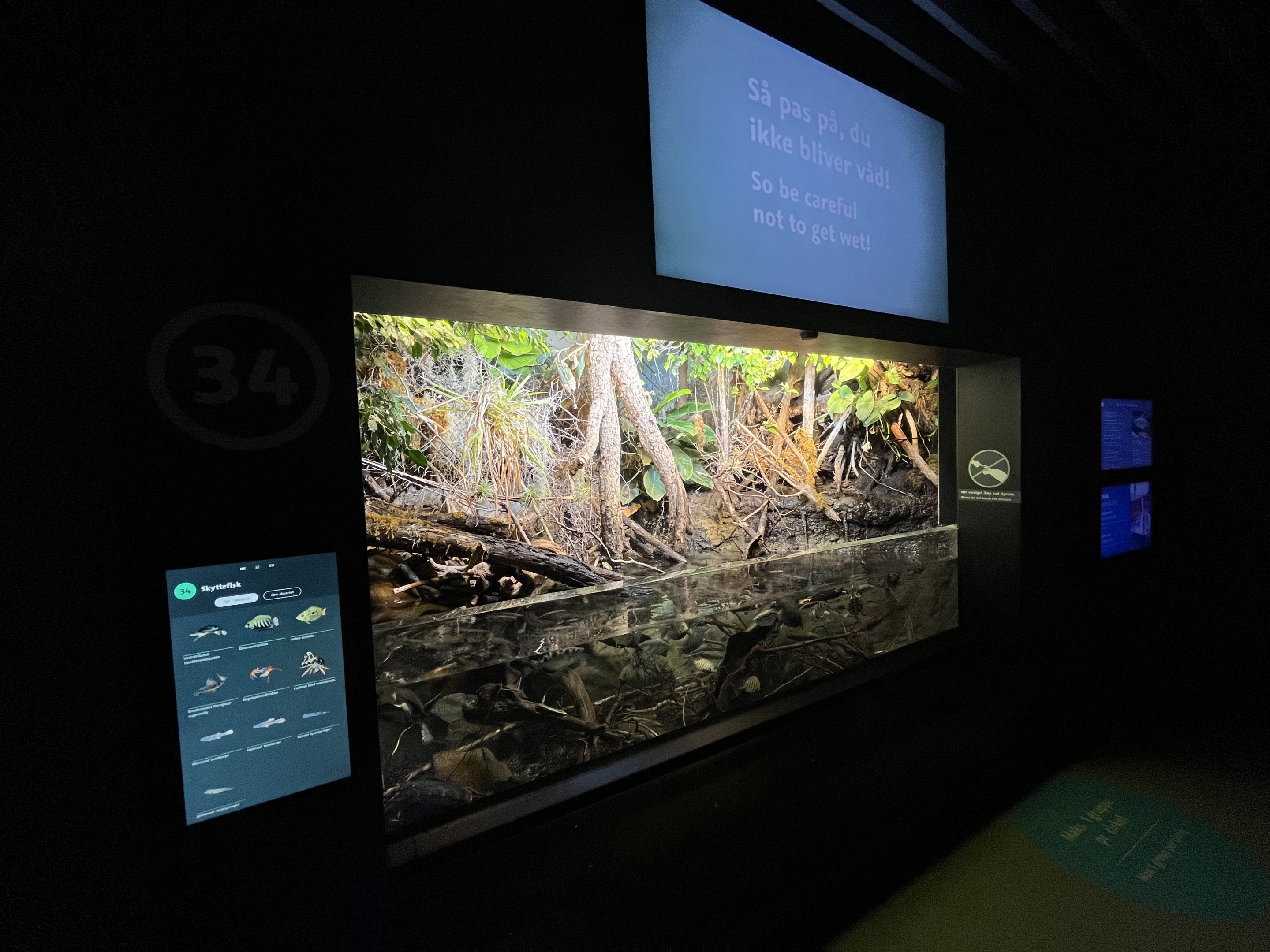 Tropical Tank (12 species)