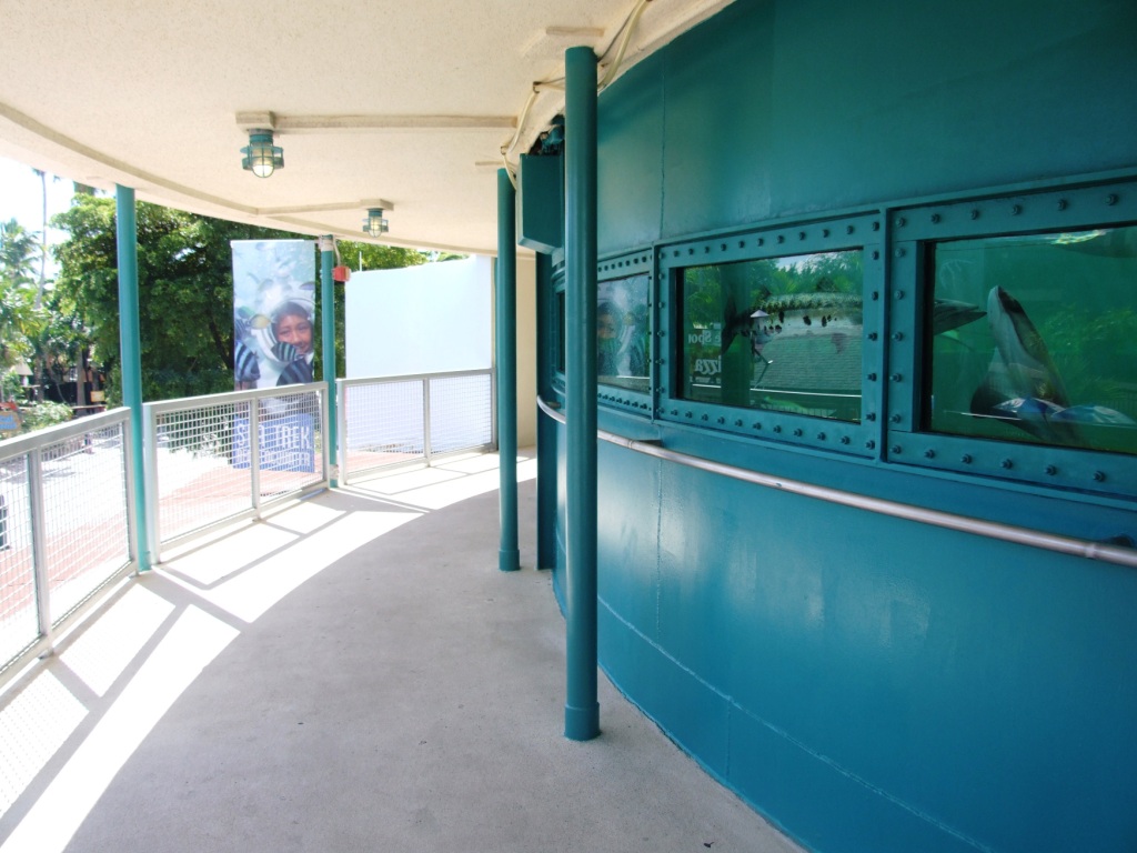 Tropical Tank Viewing at Miami Seaquarium, 16/10/13