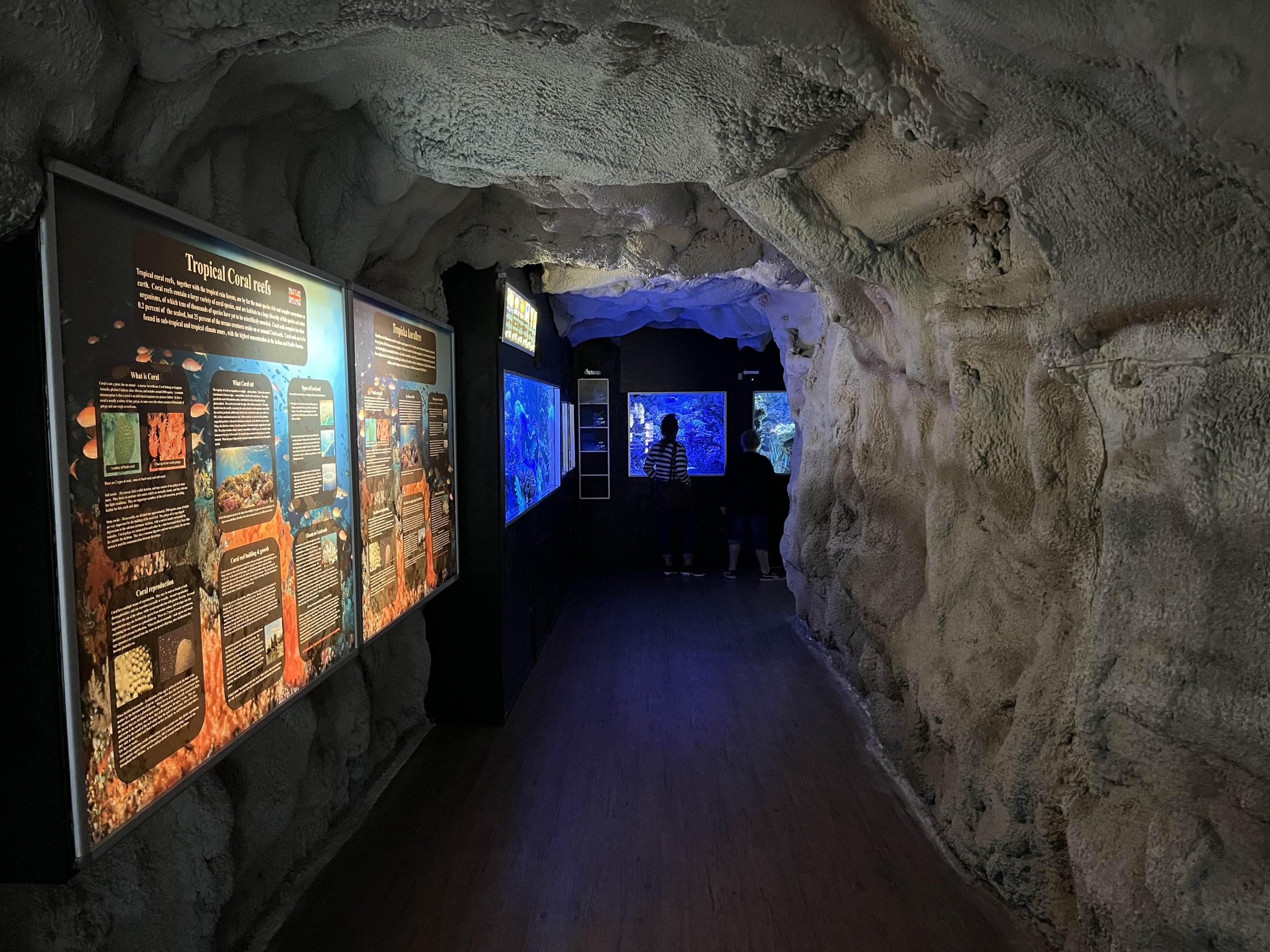 Tropical Tanks - cave setting