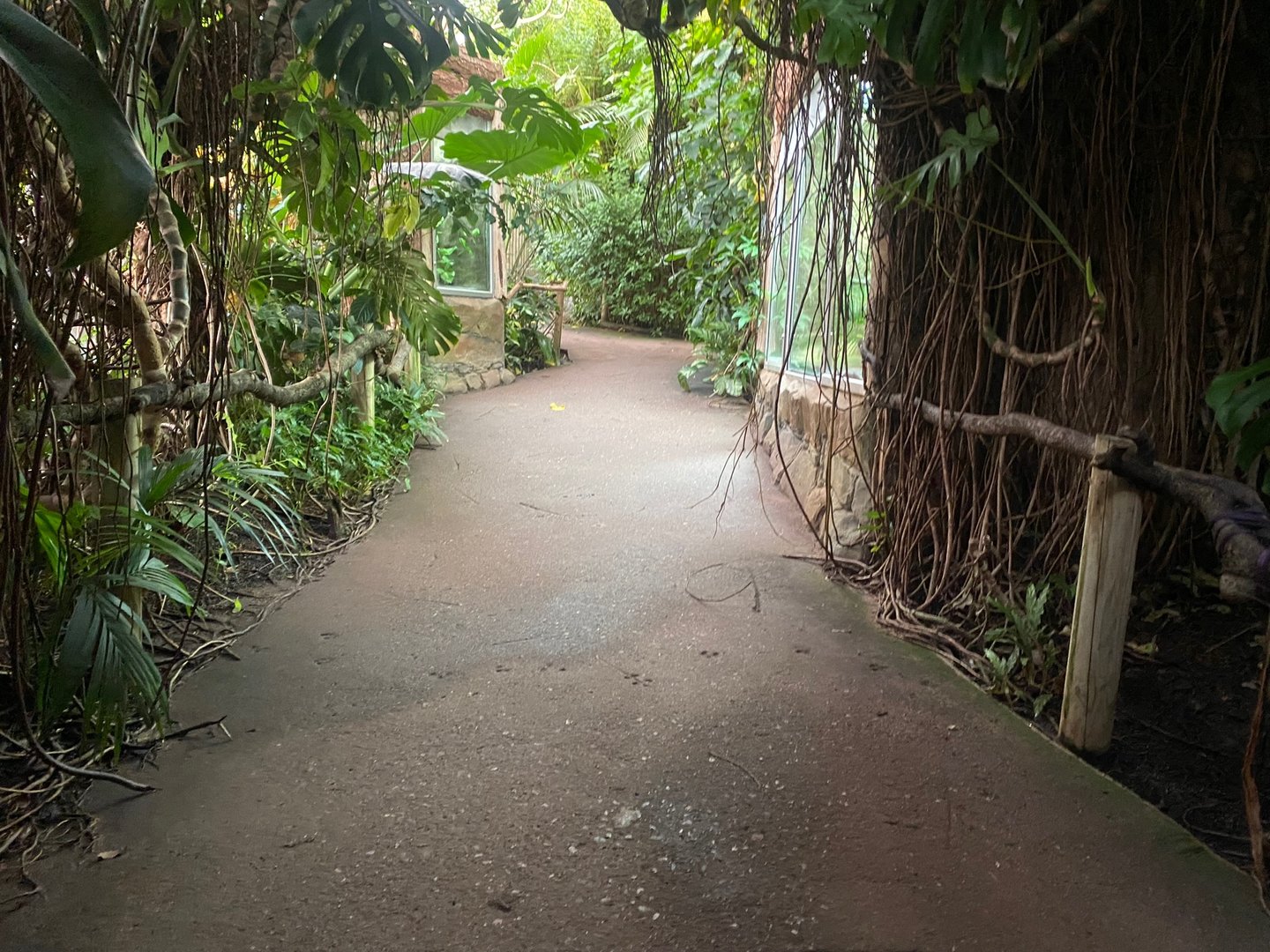 Tropical Trails 161222