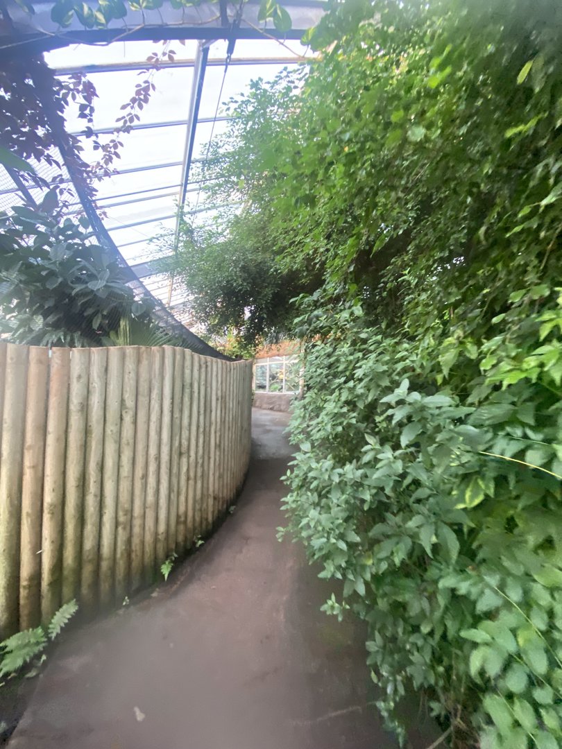 Tropical Trails 161222