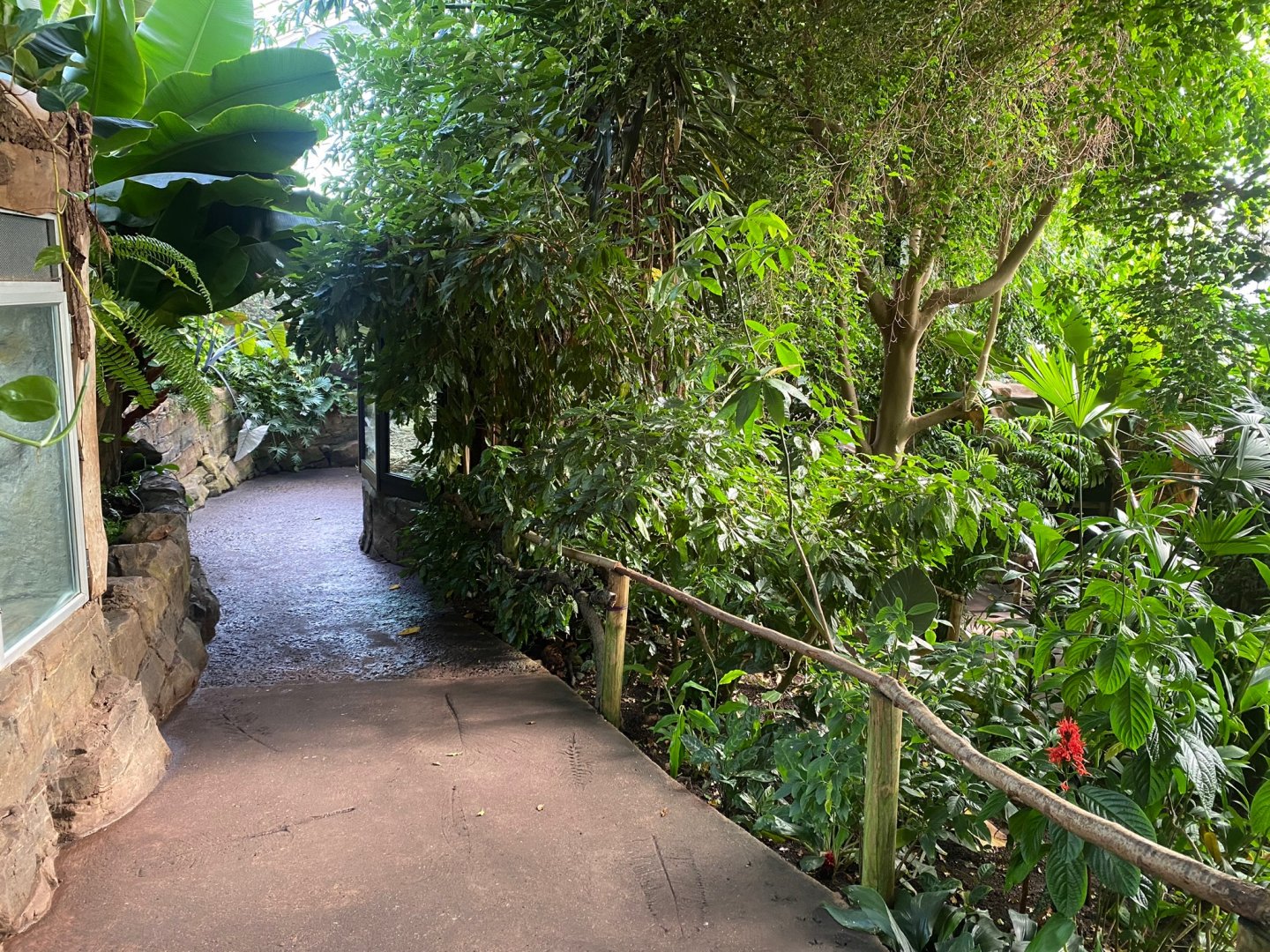 Tropical Trails 290923