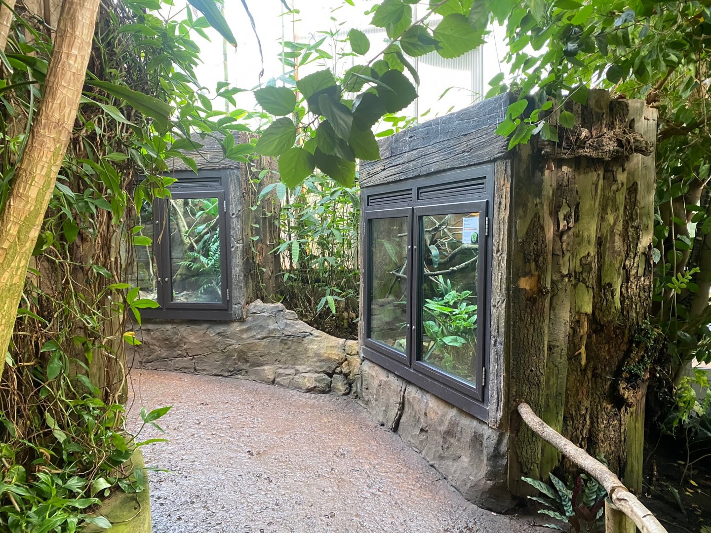 Tropical Trails 290923