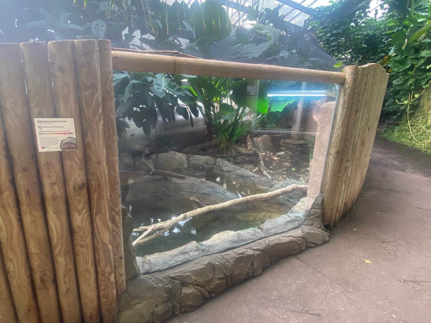 Tropical Trails - Malaysian giant turtle exhibit 290923