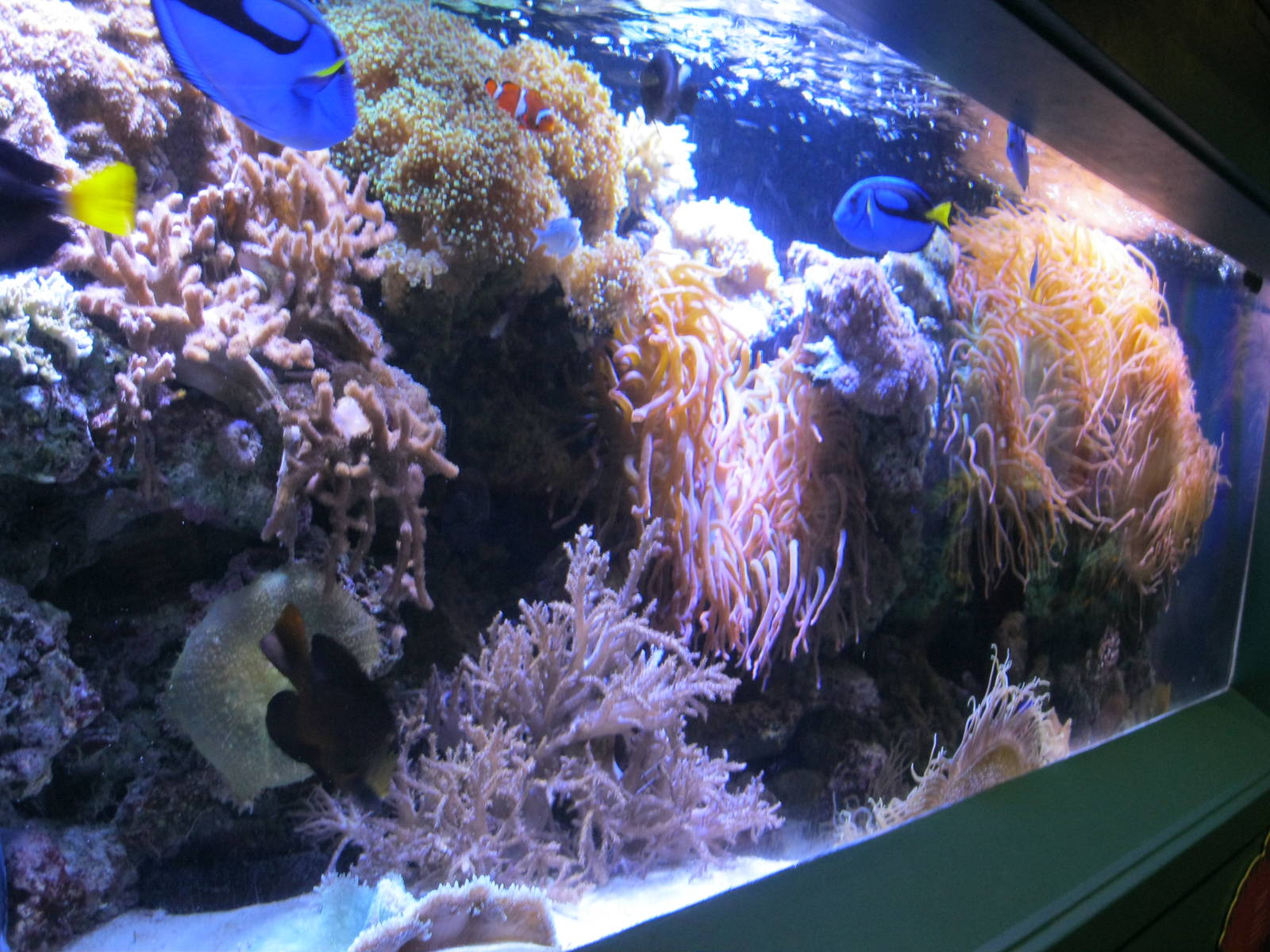 Tropical Travelers Exhibit