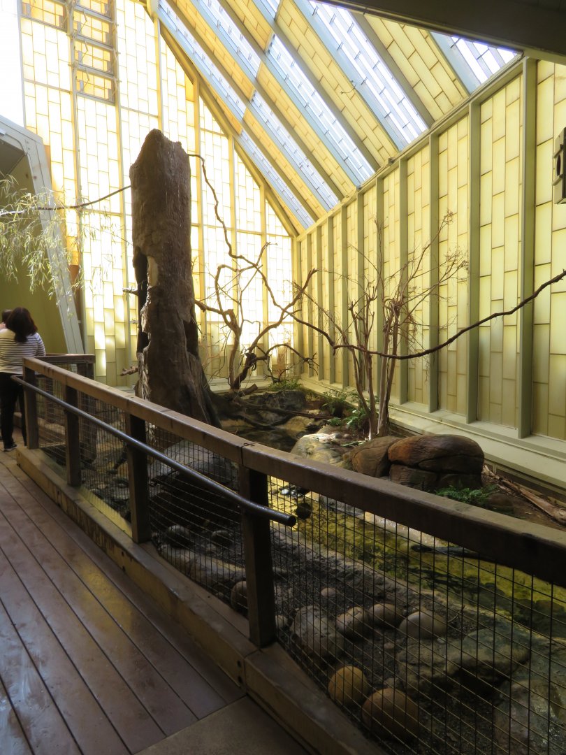 Tropical Treasures Interior