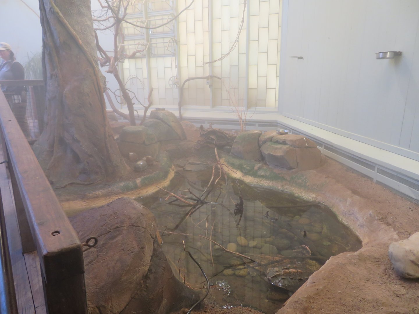 Tropical Treasures Steam