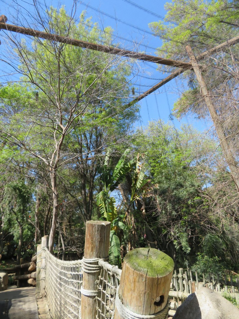Tropical Walk-through Aviary