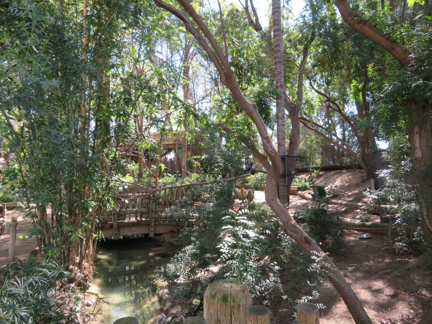 Tropical Walk-through Aviary