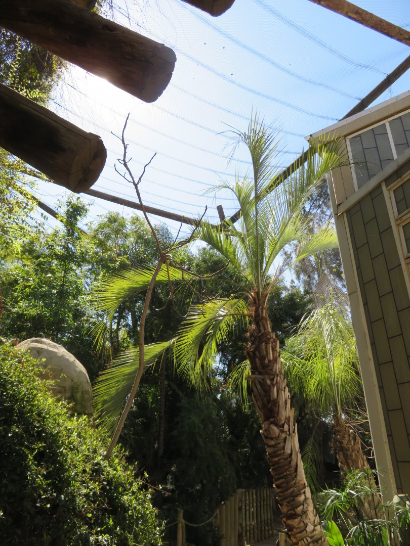 Tropical Walk-through Aviary