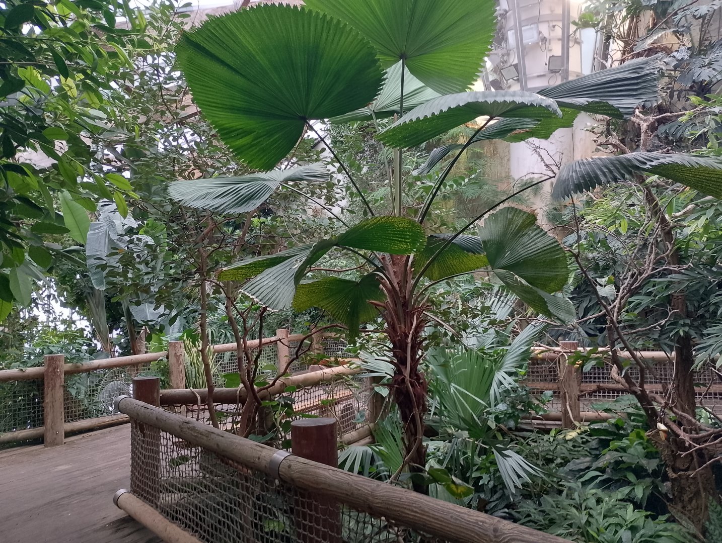 Tropical walk-through aviary