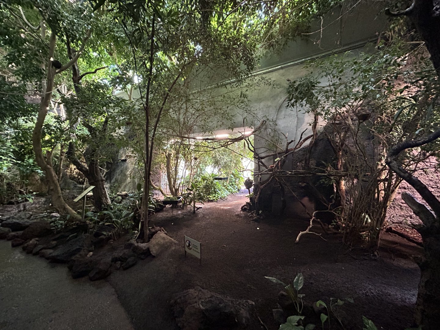 Tropical Walkthrough - Bird House