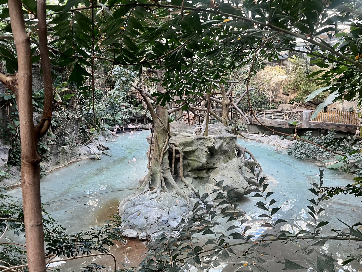 Tropical Waterfowl and White-cheeked Gibbon Exhibit