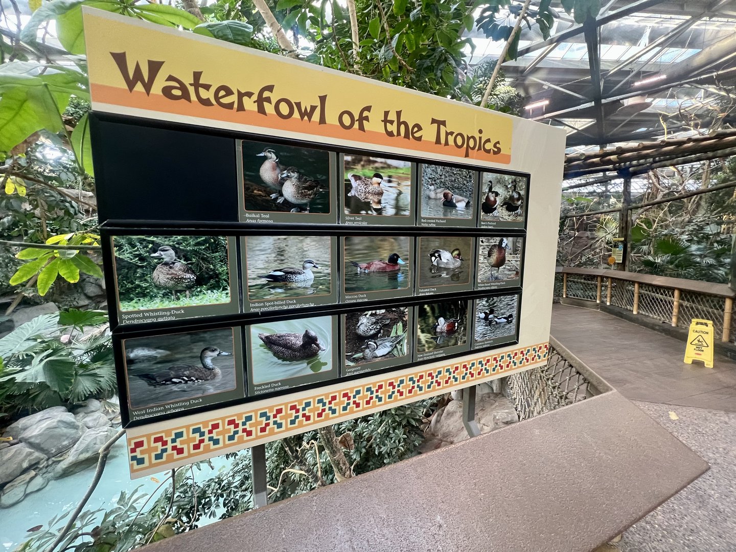 Tropical Waterfowl Sign
