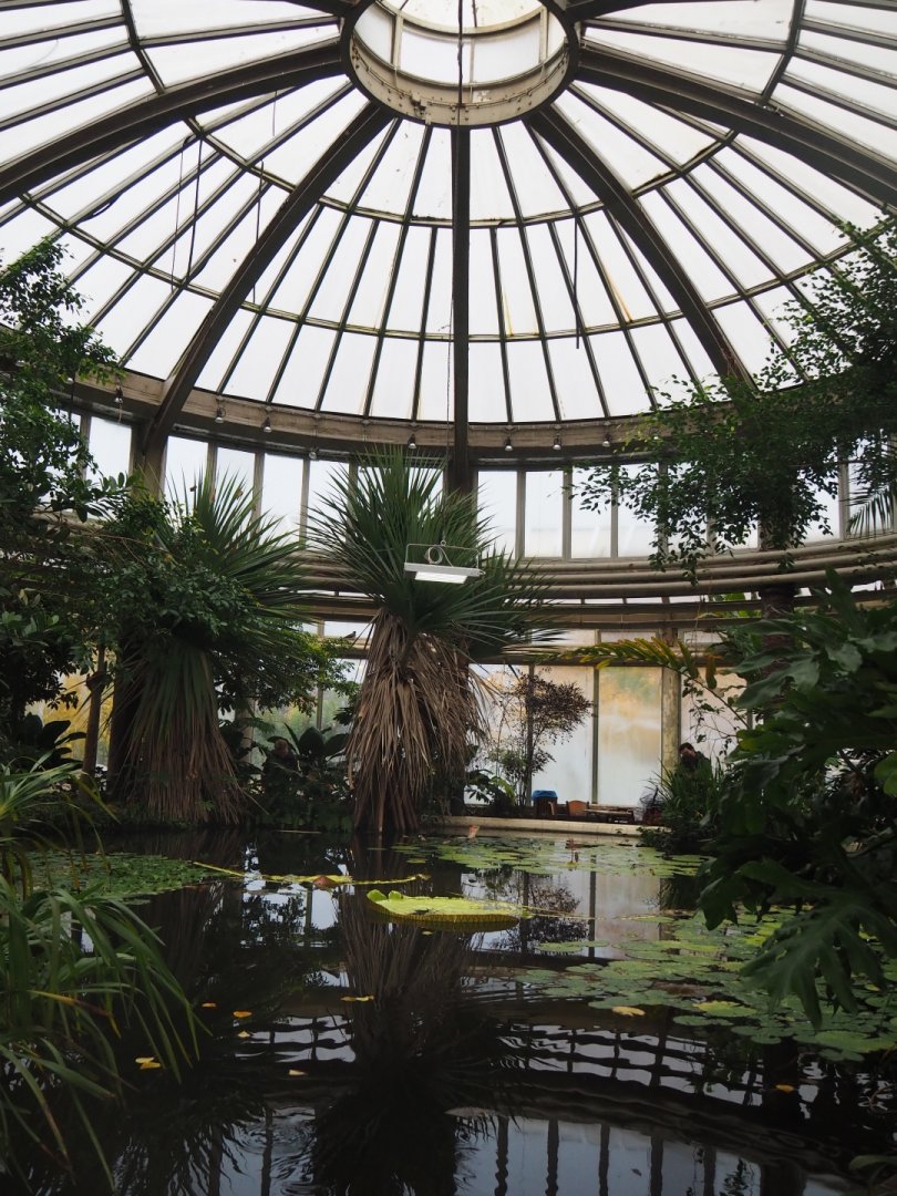 Tropical wing of the Rivierahal - Victoria greenhouse with dome (Nov 10th, 2018)