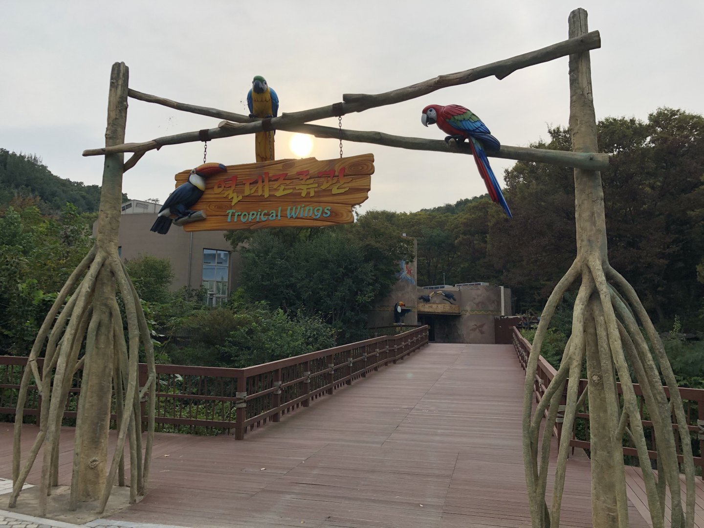 Tropical Wings Entrance