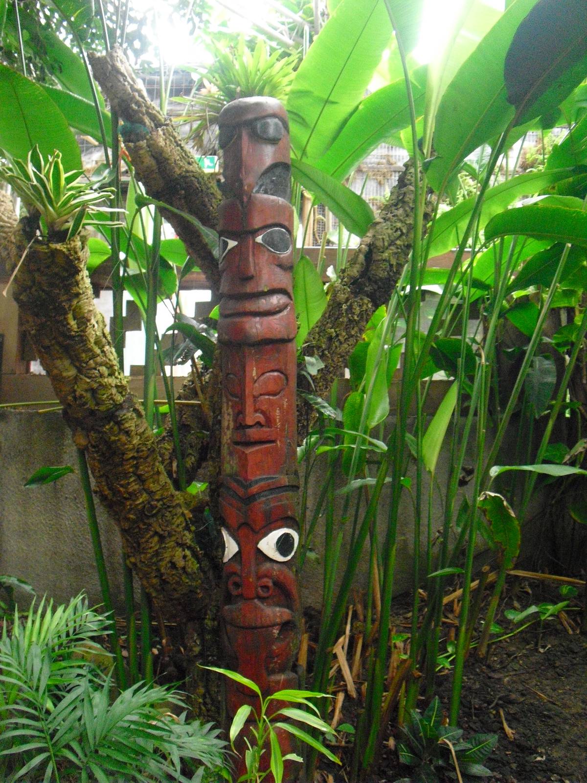 Tropical World - 12/10/2011